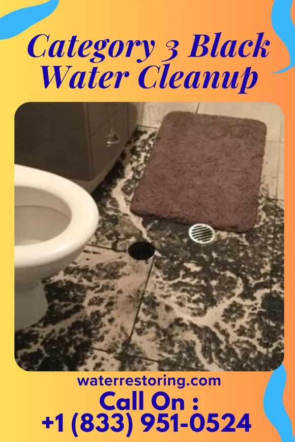 Category 3 Black Water Cleanup in Horse Pasture, VA