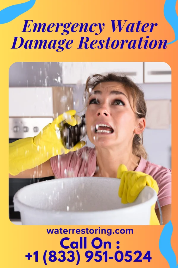 Emergency Water Damage Restoration in Horse Pasture, VA