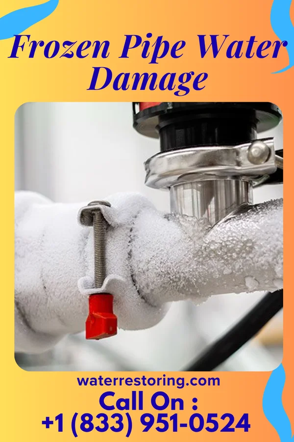 Frozen Pipe Water Damage in Horse Pasture, VA