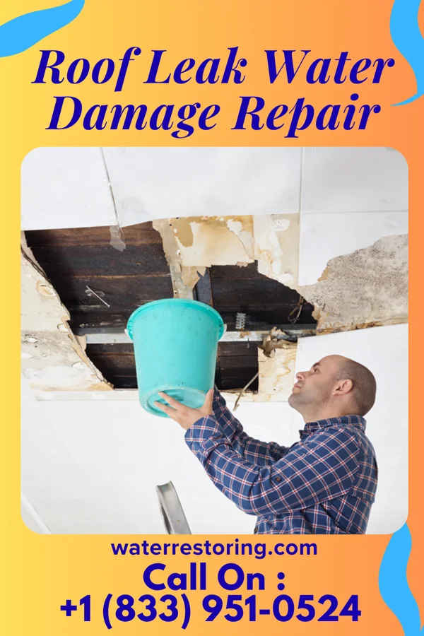 Roof Leak Water Damage Repair in Horse Pasture, VA