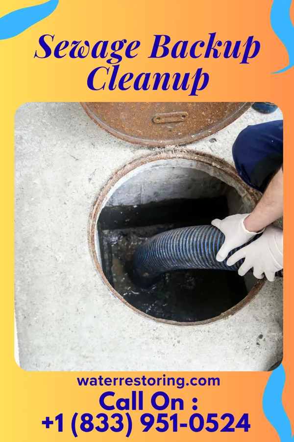 Sewage Backup Cleanup in Horse Pasture, VA